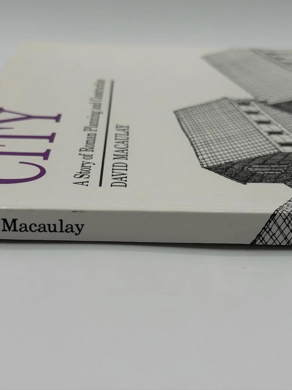 City: A Story of Roman Planning and Construction by David Macaulay (1974, PB)